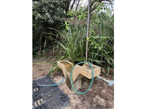 【北コース・奄美大島観光名所ツアー(180分)】【地域クーポン対応】※口コミ投稿で写真の無料プレゼントあり※ 【北コース・奄美大島観光名所ツアー(180分)】【地域クーポン対応】※口コミ投稿で写真の無料プレゼントあり※