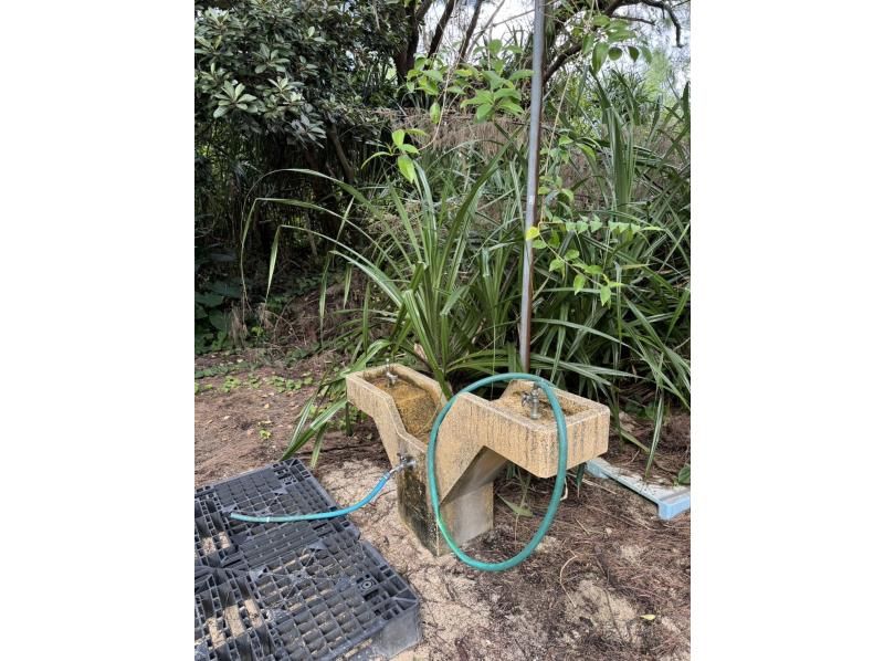 【北コース・奄美大島観光名所ツアー（180分）】【地域クーポン対応】※口コミ投稿で写真の無料プレゼントあり※の紹介画像