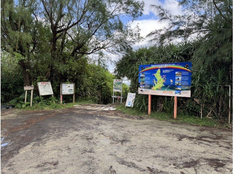 【北コース・奄美大島観光名所ツアー（180分）】【地域クーポン対応】※口コミ投稿で写真の無料プレゼントあり※の紹介画像