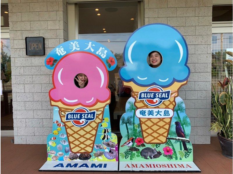 【北コース・奄美大島観光名所ツアー（180分）】【地域クーポン対応】※口コミ投稿で写真の無料プレゼントあり※の紹介画像