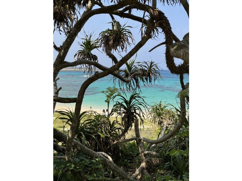 【北コース・奄美大島観光名所ツアー（180分）】【地域クーポン対応】※口コミ投稿で写真の無料プレゼントあり※の紹介画像