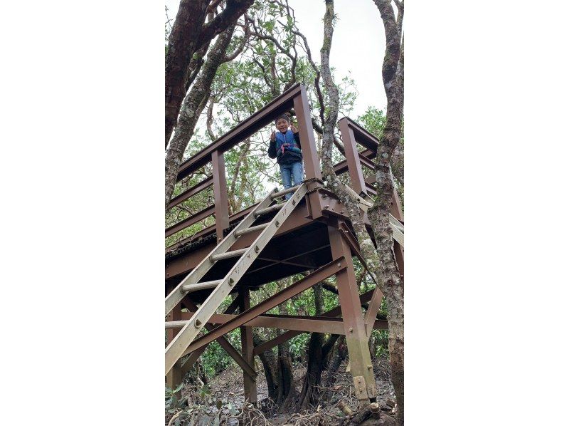 【南コース・奄美大島観光名所ツアー(180分）】【地域クーポン対応】※口コミ投稿で写真の無料プレゼントあり※の紹介画像
