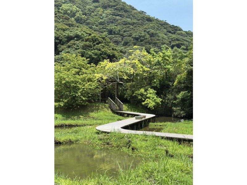 【南コース・奄美大島観光名所ツアー(180分）】【地域クーポン対応】※口コミ投稿で写真の無料プレゼントあり※の紹介画像