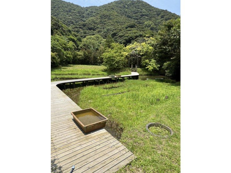 【南コース・奄美大島観光名所ツアー(180分）】【地域クーポン対応】※口コミ投稿で写真の無料プレゼントあり※の紹介画像