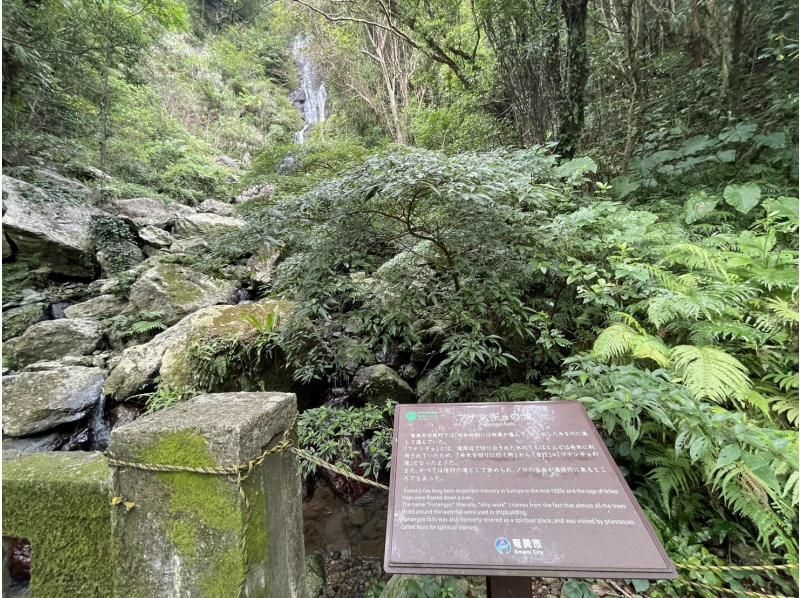 【南コース・奄美大島観光名所ツアー(180分）】【地域クーポン対応】※口コミ投稿で写真の無料プレゼントあり※の紹介画像