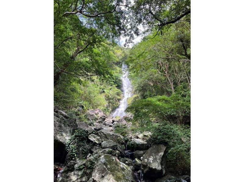 【南コース・奄美大島観光名所ツアー(180分）】【地域クーポン対応】※口コミ投稿で写真の無料プレゼントあり※の紹介画像