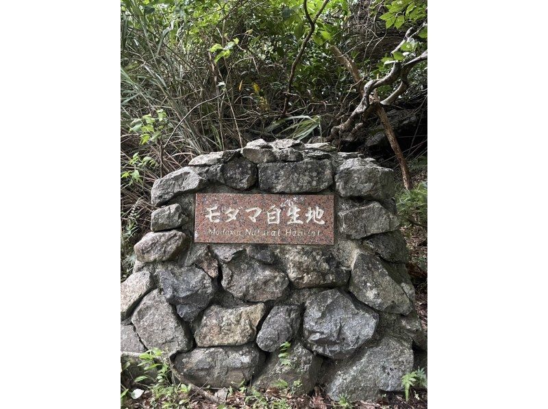 【南コース・奄美大島観光名所ツアー(180分）】【地域クーポン対応】※口コミ投稿で写真の無料プレゼントあり※の紹介画像