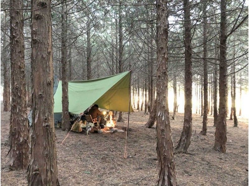 [Shizuoka/Fujinomiya] Recommended for families! A wild camp where you can interact with animals! By far the most popular "Free Site" -Standard Plan- (Tent night)の紹介画像