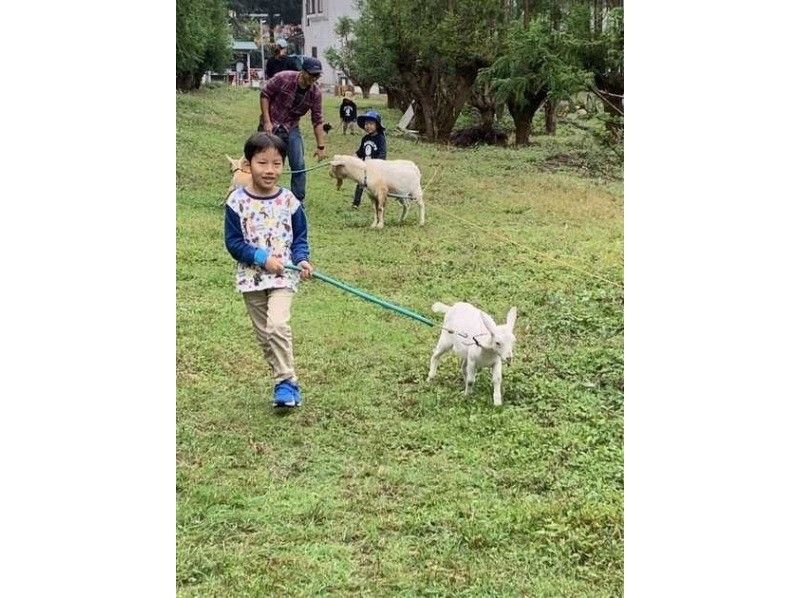 [Shizuoka/Fujinomiya] Recommended for families! A wild camp where you can interact with animals! By far the most popular "free site" ~ Day camp plan ~の紹介画像