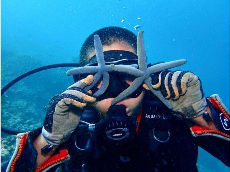 【沖縄・今帰仁・古宇利島】＜1家族で貸切！ファミリープラン＞美しい今帰仁の海で体験ダイビング＜ビーチエントリー＞｜12歳〜参加可能◎｜の紹介画像