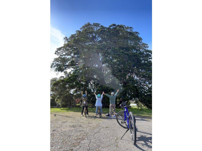 [新潟/佐渡]體驗佐渡島的自然風光！出租自行車1日計劃の紹介画像
