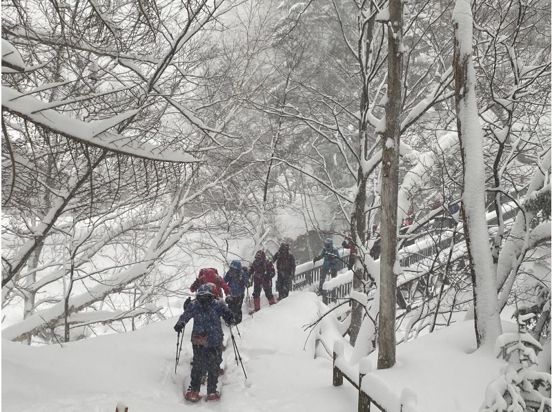 【栃木・日光/鬼怒川】雪見風呂＆軽食付き 奥鬼怒温泉氷瀑スノーシューツアーの紹介画像