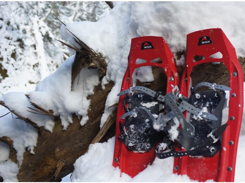 [Hokkaido, Chitose City] Lake Shikotsu Private Snow Walk [1/3-2/25]の紹介画像