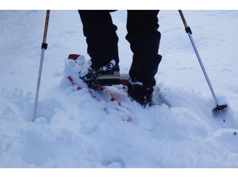 [Hokkaido, Chitose City] Lake Shikotsu Private Snow Walk [1/3-2/25]の紹介画像