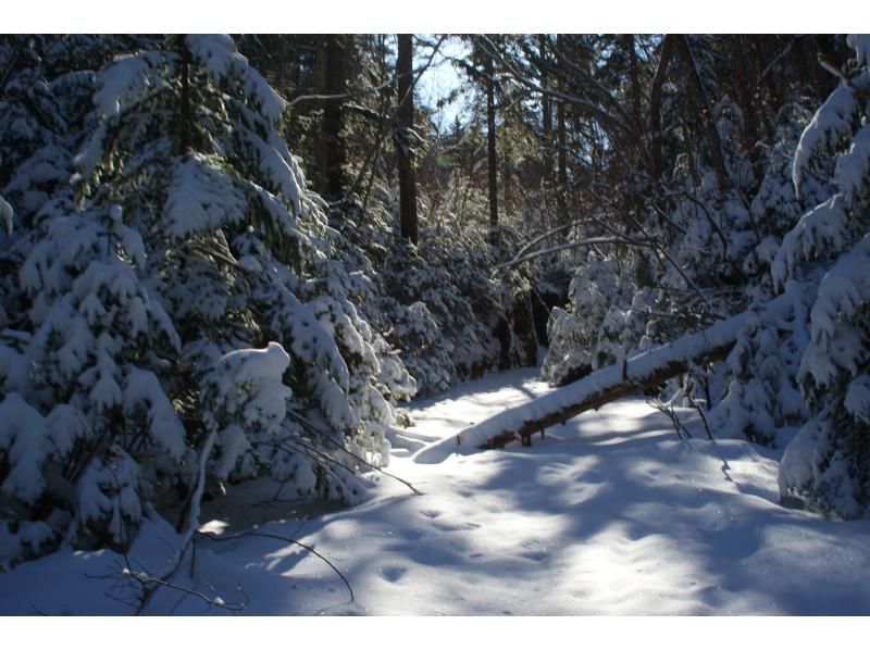 [Hokkaido, Chitose City] Lake Shikotsu Private Snow Walk [1/3-2/25]の紹介画像