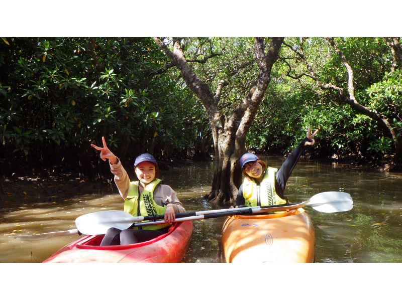 奄美大島【当日予約可能】マングローブカヌー(60分)ガイドがいないと入れない水路へ★口コミ投稿で撮影データ無料プレゼント★の紹介画像
