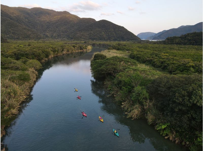 奄美大島【当日予約可能】マングローブカヌー(60分)ガイドがいないと入れない水路へ★口コミ投稿で撮影データ無料プレゼント★の紹介画像