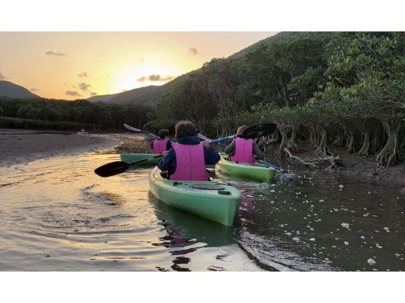 奄美大島【当日予約可能】マングローブカヌー(60分)ガイドがいないと入れない水路へ★口コミ投稿で撮影データ無料プレゼント★の紹介画像