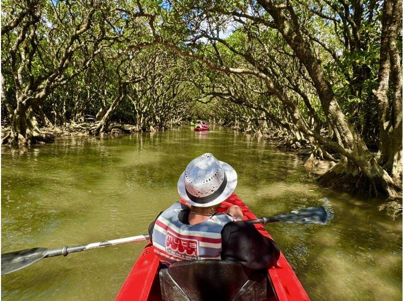 奄美大島【当日予約可能】マングローブカヌー(60分)ガイドがいないと入れない水路へ★口コミ投稿で撮影データ無料プレゼント★の紹介画像