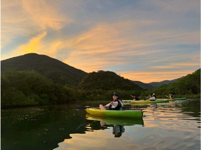 奄美大島【当日予約可能】マングローブカヌー(60分)ガイドがいないと入れない水路へ★口コミ投稿で撮影データ無料プレゼント★の紹介画像