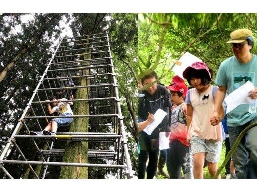 静岡県の山 森 高原のアクティビティの予約 日本旅行 オプショナルツアー アクティビティ 遊びの体験予約 静岡県の山 森 高原のアクティビティの予約 日本旅行 オプショナルツアー アクティビティ 遊びの体験予約