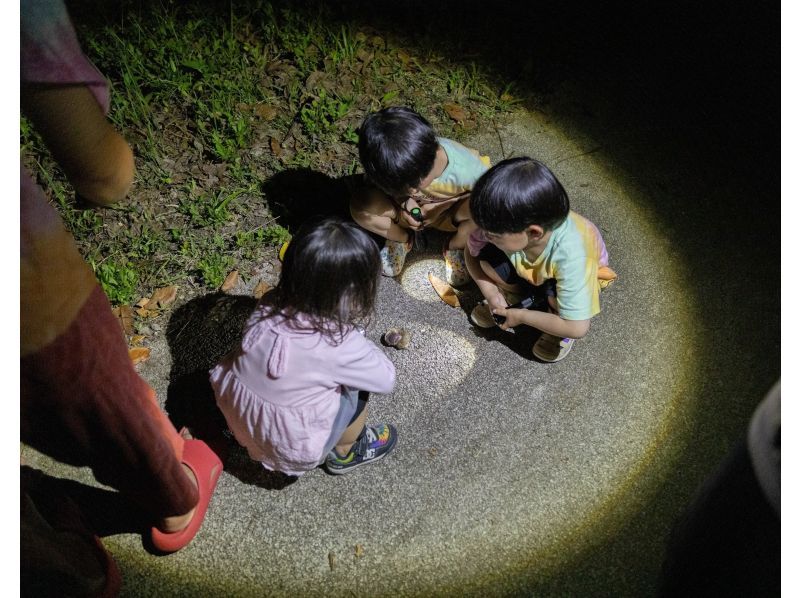 [Ishigaki Island / Night] Starry sky reserve is the stage ♪ Planetarium photo!の紹介画像