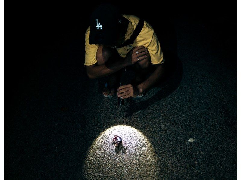 [Ishigaki Island / Night] Starry sky reserve is the stage ♪ Planetarium photo!の紹介画像