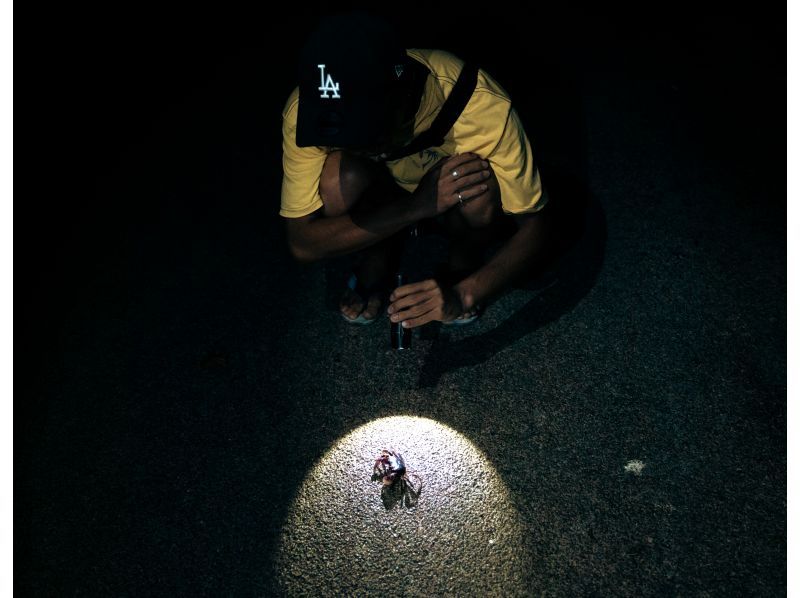 【이시가키 섬 / 밤】 밤하늘 보호구가 무대 ♪ 플라네타륨 포토!の紹介画像