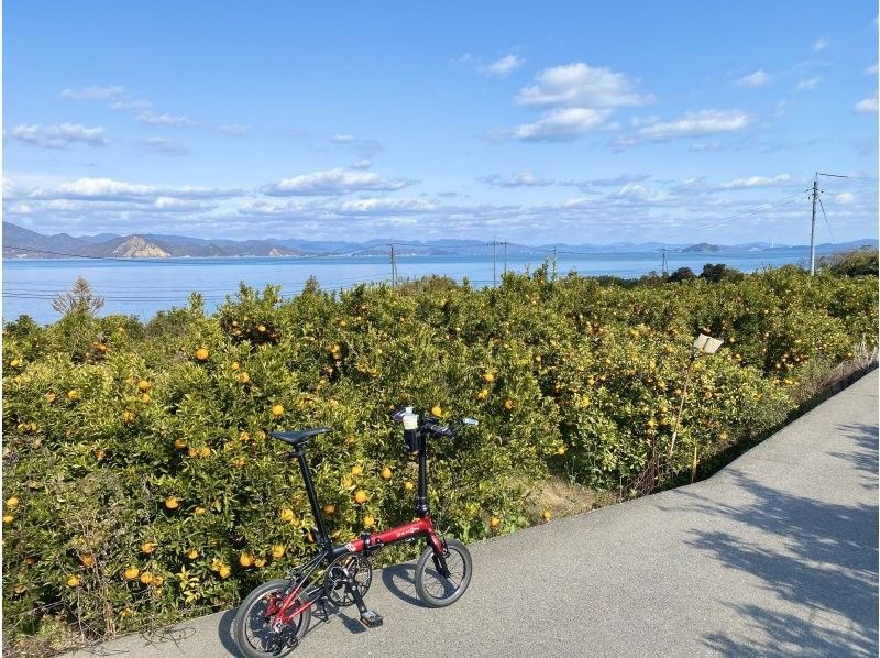 【広島・とびしま海道】★E-bikeサイクリングガイドツアー★空・海・遺跡、古代の島をグルっと一周ツアーの紹介画像