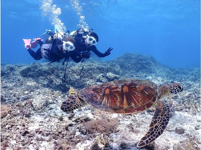【沖縄・宮古島・ダイビング】【温水シャワー付き！】たっぷり満喫！貸切ビーチ体験ダイビング（水中写真付き）の紹介画像