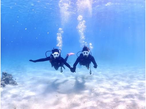 【沖縄・宮古島・ダイビング】【温水シャワー付き!】たっぷり満喫!貸切ビーチ体験ダイビング(水中写真付き) 【沖縄・宮古島・ダイビング】【温水シャワー付き!】たっぷり満喫!貸切ビーチ体験ダイビング(水中写真付き)