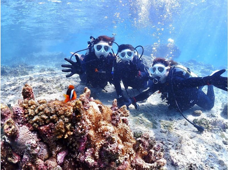 【沖縄・宮古島・ダイビング】【温水シャワー付き！】たっぷり満喫！貸切ビーチ体験ダイビング（水中写真付き）の紹介画像