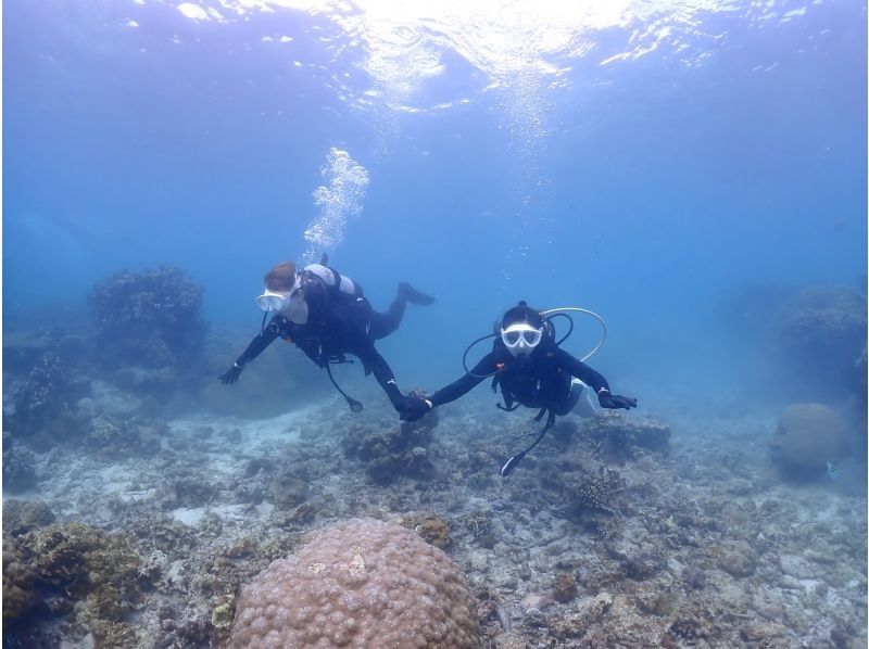 Regional coupon support [Okinawa/Miyakojima/Diving] Private beach diving (with underwater photo)