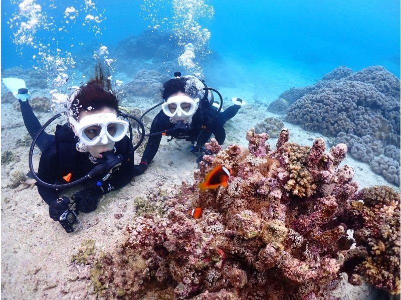 [Okinawa, Miyakojima, Diving] Enjoy to the fullest! Private beach experience diving (with underwater photos)の紹介画像