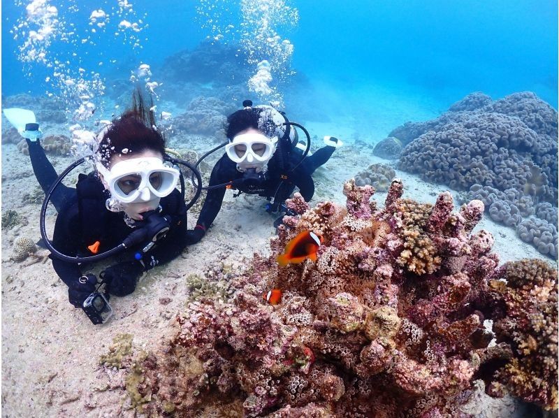 【沖縄・宮古島・ダイビング】【温水シャワー付き！】たっぷり満喫！貸切ビーチ体験ダイビング（水中写真付き）の紹介画像