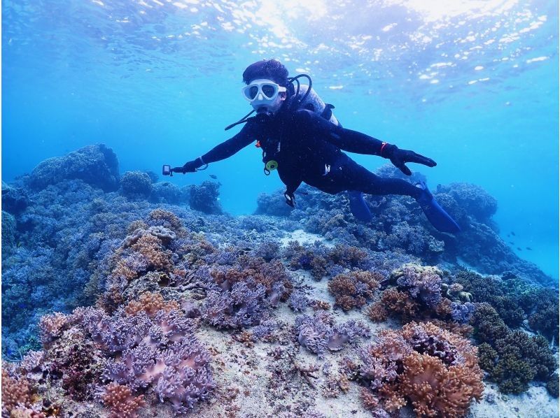 <Regional coupon support> [Okinawa/Miyakojima/Diving] Safe even for the first time! Private beach experience diving (with underwater photo)の紹介画像