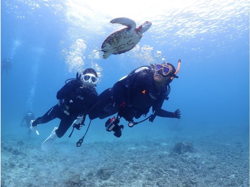 <Regional coupon support> [Okinawa/Miyakojima/Diving] Safe even for the first time! Private beach experience diving (with underwater photo)の紹介画像