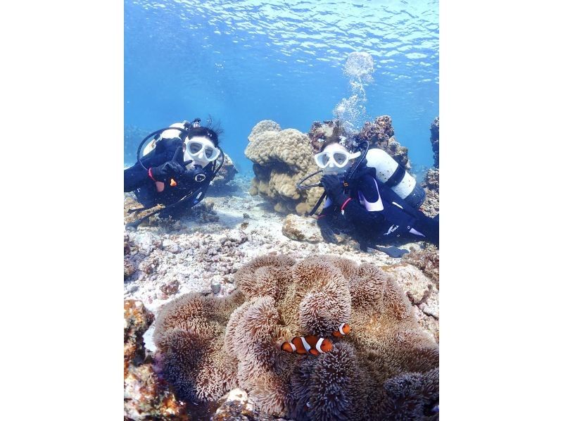 【沖縄・宮古島・ダイビング】【温水シャワー付き！】たっぷり満喫！貸切ビーチ体験ダイビング（水中写真付き）の紹介画像