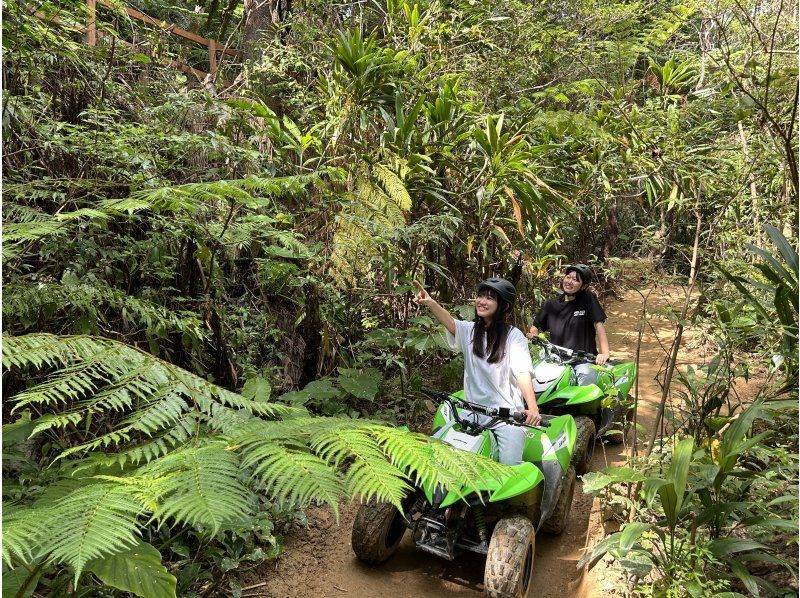 【沖縄 北部 名護】ジャングルバギー★4歳～参加OK☆美ら海水族館へのアクセス抜群★やんばるの森をガッチリ体感☆初心者でも安心☆ATV　　　の紹介画像