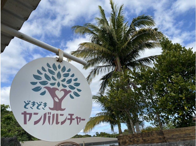 【沖縄 北部 名護】ジャングルバギー★4歳～参加OK☆美ら海水族館へのアクセス抜群★やんばるの森をガッチリ体感☆初心者でも安心☆ATV　　　の紹介画像