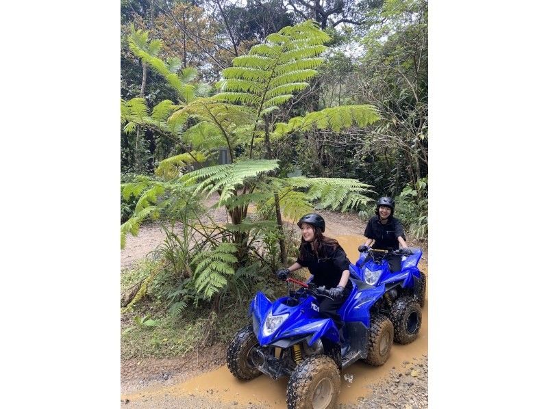 【沖縄 北部 名護】ジャングルバギー★4歳～参加OK☆美ら海水族館へのアクセス抜群★やんばるの森をガッチリ体感☆初心者でも安心☆ATV　　　の紹介画像