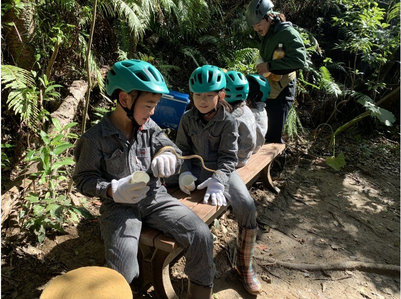 我们推荐位于冲绳本岛北部名护市的“Dokidoki Yanbaruncher”，这是一家评价很高的越野车体验店！