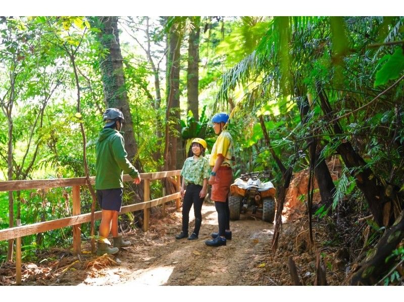 [Northern Okinawa Nago] Yanbaru adventure with buggy ★ 4 years old ~ Participation OK! Close to aquariums and tourist facilities! Okinawa [Yanbaru Forest] Thorough Experience @ Nago Fruit Land Meetingの紹介画像