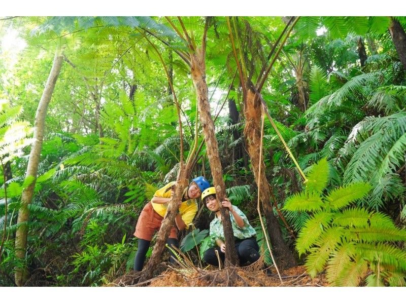 [Northern Okinawa Nago] Yanbaru adventure with buggy ★ 4 years old ~ Participation OK! Close to aquariums and tourist facilities! Okinawa [Yanbaru Forest] Thorough Experience @ Nago Fruit Land Meetingの紹介画像