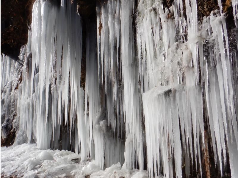 【八ヶ岳山麓／長野】軽井沢 近郊で冬の造形美！氷瀑&氷柱観賞 ハイキング トレッキング『絶景☆アイスワールド』お手軽1日ツアーの紹介画像