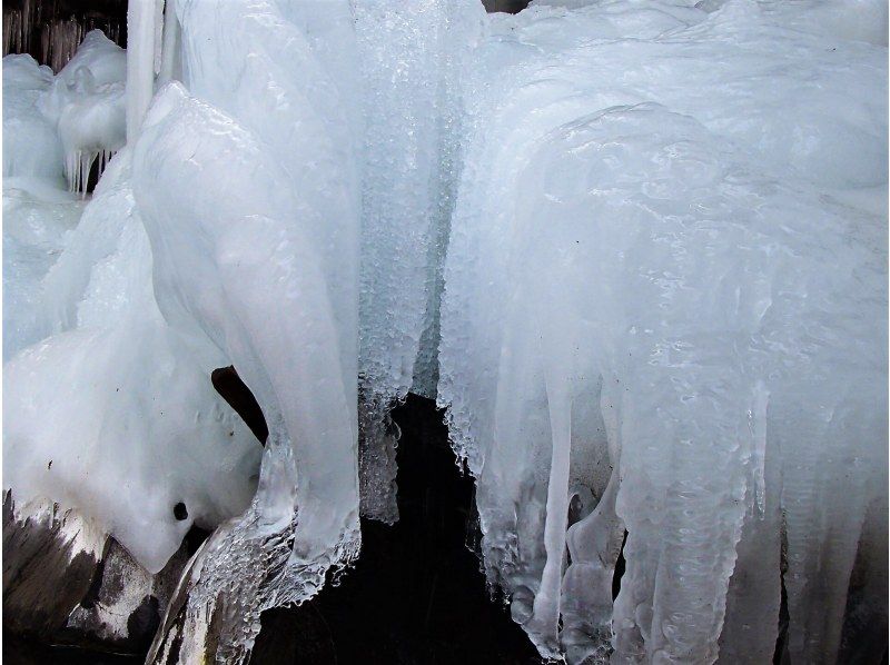 【八ヶ岳山麓／長野】軽井沢 近郊で冬の造形美！氷瀑&氷柱観賞 ハイキング トレッキング『絶景☆アイスワールド』お手軽1日ツアーの紹介画像