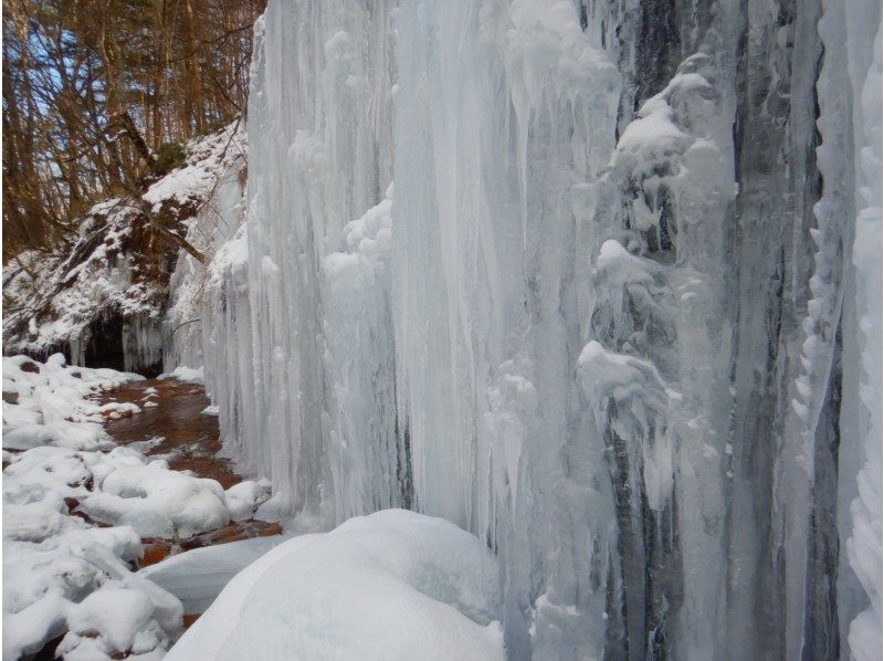 【八ヶ岳山麓／長野】軽井沢 近郊で冬の造形美！氷瀑&氷柱観賞 ハイキング トレッキング『絶景☆アイスワールド』お手軽1日ツアーの紹介画像