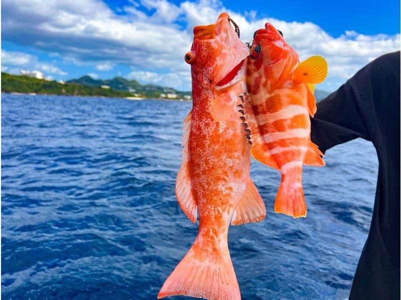 【沖縄マリーナ発・釣り体験】手ぶらでOK♪　初心者・お子様大歓迎お気軽トロピカルフィッシング！3.5時間完全貸切チャーターの紹介画像