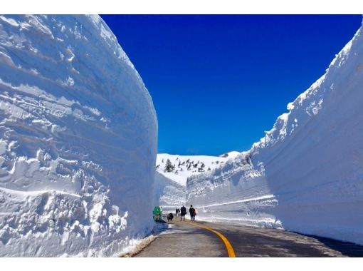 [Miyagi] Day Trip to Snow Wall and Sakura Special Bus Tourの紹介画像