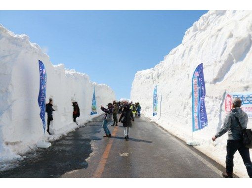 [Miyagi] Day Trip to Snow Wall and Sakura Special Bus Tourの紹介画像